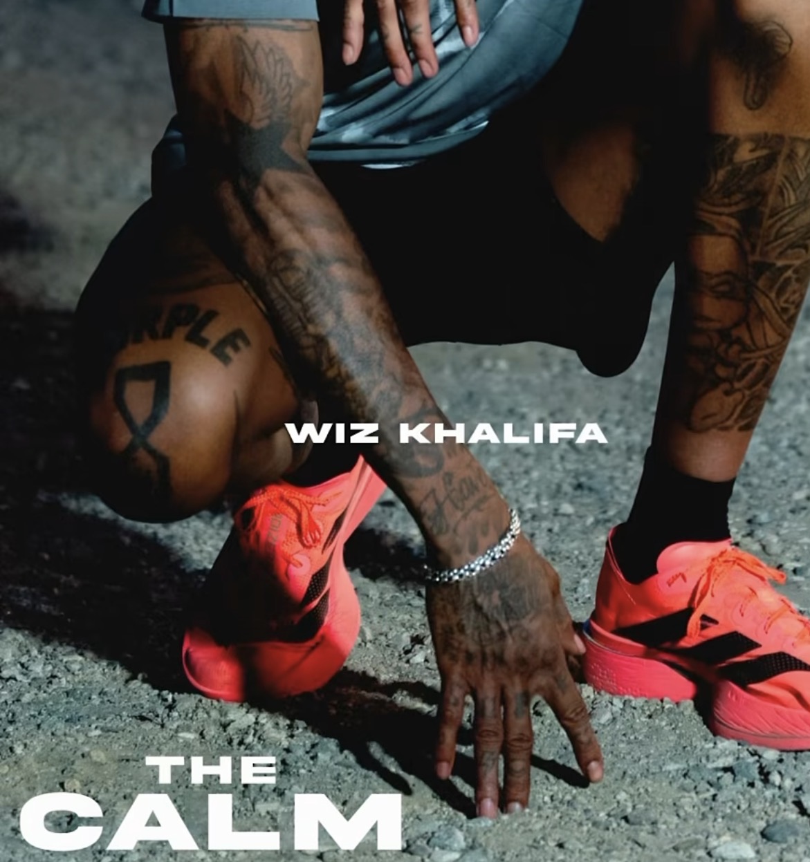 Wiz Khalifa - The Calm ft. Jae Harp